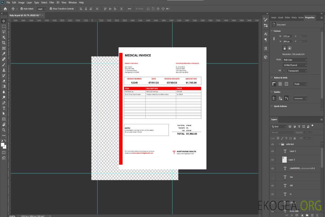 Modèle de facture médicale du Northridge Health Center des États , Unis, New York template Modèle de facture médicale du Northridge Health Center des États , Unis, New York template